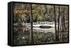 Wooden Bridge in Swamp of Charleston, SC-null-Framed Stretched Canvas