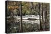 Wooden Bridge in Swamp of Charleston, SC-null-Stretched Canvas