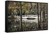 Wooden Bridge in Swamp of Charleston, SC-null-Framed Stretched Canvas