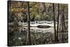 Wooden Bridge in Swamp of Charleston, SC-null-Stretched Canvas