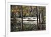 Wooden Bridge in Swamp of Charleston, SC-null-Framed Photo