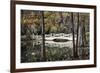 Wooden Bridge in Swamp of Charleston, SC-null-Framed Photo