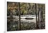 Wooden Bridge in Swamp of Charleston, SC-null-Framed Photo