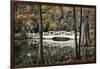 Wooden Bridge in Swamp of Charleston, SC-null-Framed Photo