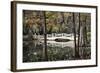 Wooden Bridge in Swamp of Charleston, SC-null-Framed Photo