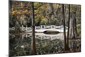 Wooden Bridge in Swamp of Charleston, SC-null-Mounted Photo