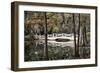 Wooden Bridge in Swamp of Charleston, SC-null-Framed Photo