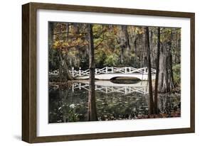 Wooden Bridge in Swamp of Charleston, SC-null-Framed Photo