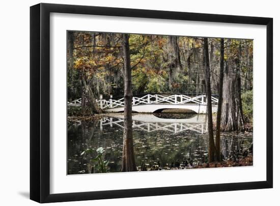 Wooden Bridge in Swamp of Charleston, SC-null-Framed Photo