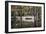 Wooden Bridge in Swamp of Charleston, SC-null-Framed Photo