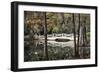 Wooden Bridge in Swamp of Charleston, SC-null-Framed Photo