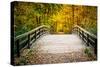 Wooden Bridge in the Autumn Park-sborisov-Stretched Canvas