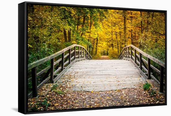 Wooden Bridge in the Autumn Park-sborisov-Framed Stretched Canvas