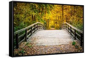 Wooden Bridge in the Autumn Park-sborisov-Framed Stretched Canvas