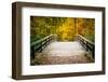 Wooden Bridge in the Autumn Park-sborisov-Framed Photographic Print