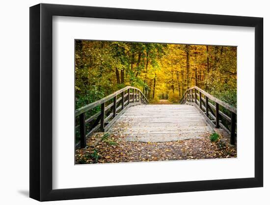 Wooden Bridge in the Autumn Park-sborisov-Framed Photographic Print