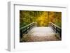 Wooden Bridge in the Autumn Park-sborisov-Framed Photographic Print