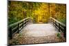 Wooden Bridge in the Autumn Park-sborisov-Mounted Photographic Print