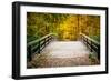 Wooden Bridge in the Autumn Park-sborisov-Framed Photographic Print