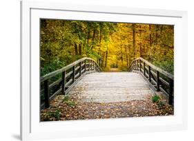 Wooden Bridge in the Autumn Park-sborisov-Framed Photographic Print