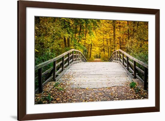 Wooden Bridge in the Autumn Park-sborisov-Framed Photographic Print