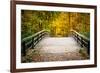 Wooden Bridge in the Autumn Park-sborisov-Framed Photographic Print