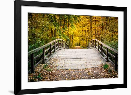 Wooden Bridge in the Autumn Park-sborisov-Framed Photographic Print