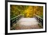 Wooden Bridge in the Autumn Park-sborisov-Framed Photographic Print