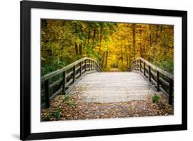 Wooden Bridge in the Autumn Park-sborisov-Framed Photographic Print