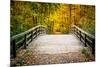 Wooden Bridge in the Autumn Park-sborisov-Mounted Photographic Print