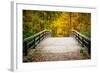 Wooden Bridge in the Autumn Park-sborisov-Framed Photographic Print