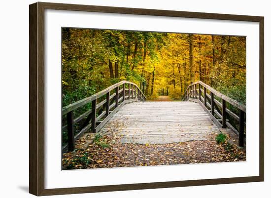 Wooden Bridge in the Autumn Park-sborisov-Framed Photographic Print