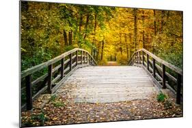 Wooden Bridge in the Autumn Park-sborisov-Mounted Photographic Print