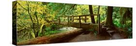 Wooden Bridge in the Hoh Rainforest, Olympic National Park, Washington-null-Stretched Canvas