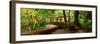 Wooden Bridge in the Hoh Rainforest, Olympic National Park, Washington-null-Framed Photographic Print