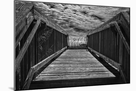 Wooden Bridge Myrtle Beach SC-null-Mounted Photo