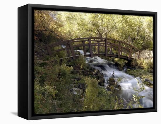 Wooden Bridge Over a Flowing Stream-null-Framed Stretched Canvas