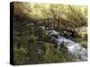 Wooden Bridge Over a Flowing Stream-null-Stretched Canvas