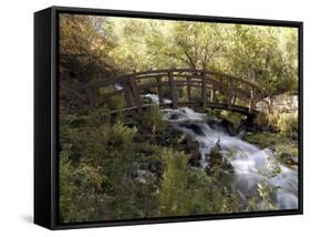 Wooden Bridge Over a Flowing Stream-null-Framed Stretched Canvas