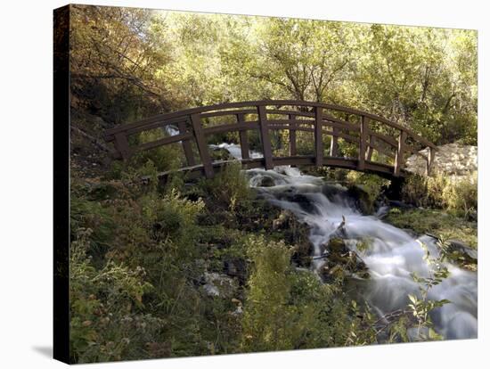 Wooden Bridge Over a Flowing Stream-null-Stretched Canvas