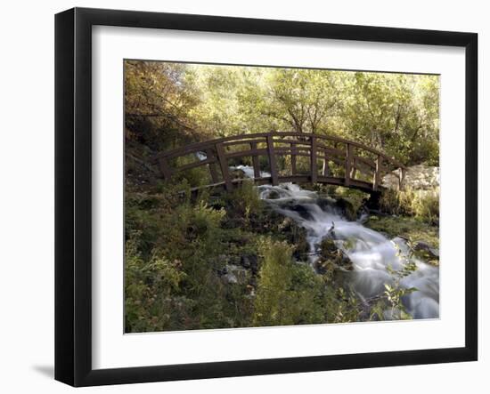 Wooden Bridge Over a Flowing Stream-null-Framed Premium Photographic Print