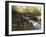 Wooden Bridge Over a Flowing Stream-null-Framed Premium Photographic Print