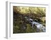 Wooden Bridge Over a Flowing Stream-null-Framed Premium Photographic Print