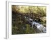 Wooden Bridge Over a Flowing Stream-null-Framed Photographic Print