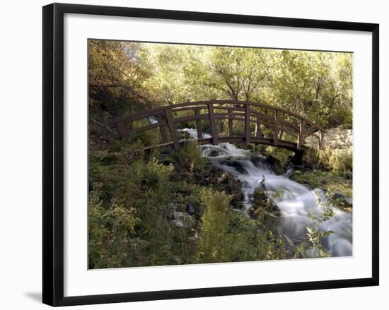 Wooden Bridge Over a Flowing Stream-null-Framed Photographic Print