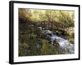 Wooden Bridge Over a Flowing Stream-null-Framed Photographic Print