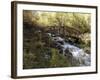 Wooden Bridge Over a Flowing Stream-null-Framed Photographic Print