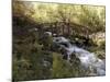 Wooden Bridge Over a Flowing Stream-null-Mounted Photographic Print