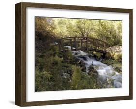 Wooden Bridge Over a Flowing Stream-null-Framed Photographic Print
