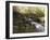 Wooden Bridge Over a Flowing Stream-null-Framed Photographic Print